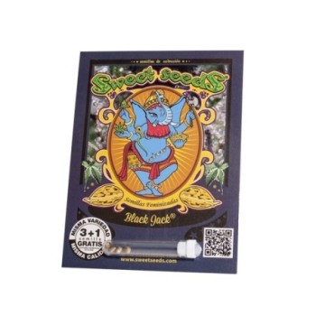 SWEET SEEDS BLACK JACK