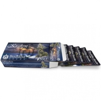 BUDDHA KRAKEN
