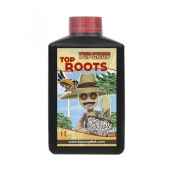 TOP ROOTS